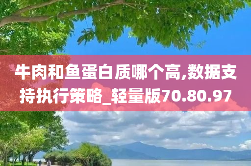 牛肉和鱼蛋白质哪个高,数据支持执行策略_轻量版70.80.97