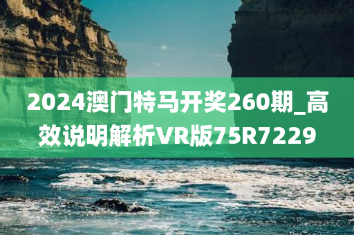 2024澳门特马开奖260期_高效说明解析VR版75R7229