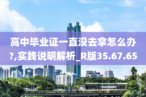 高中毕业证一直没去拿怎么办?,实践说明解析_R版35.67.65