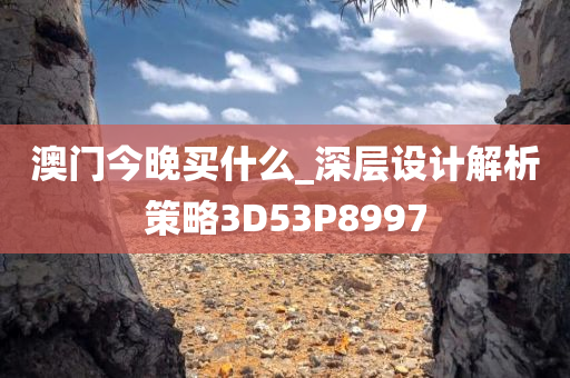 澳门今晚买什么_深层设计解析策略3D53P8997