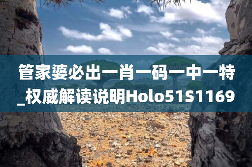 管家婆必出一肖一码一中一特_权威解读说明Holo51S1169