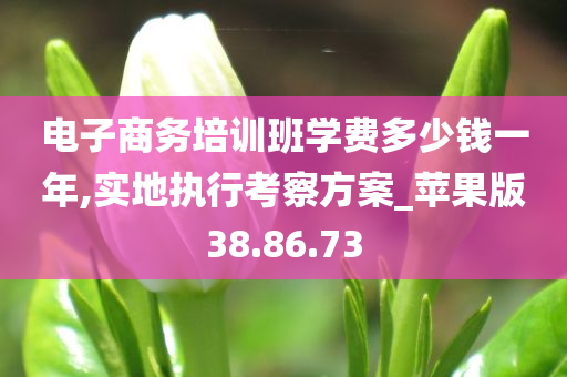 电子商务培训班学费多少钱一年,实地执行考察方案_苹果版38.86.73