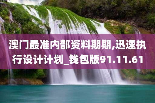 澳门最准内部资料期期,迅速执行设计计划_钱包版91.11.61