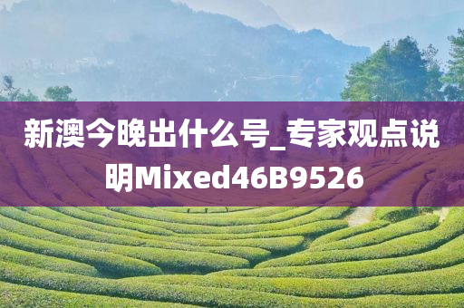 新澳今晚出什么号_专家观点说明Mixed46B9526