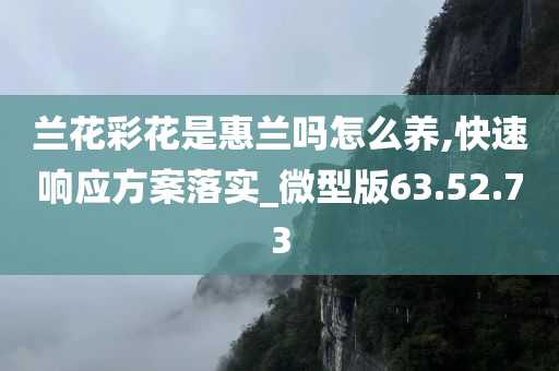 兰花彩花是惠兰吗怎么养,快速响应方案落实_微型版63.52.73