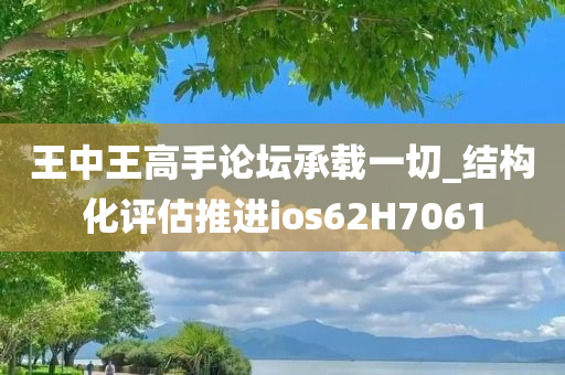 王中王高手论坛承载一切_结构化评估推进ios62H7061