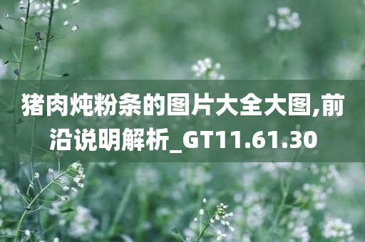 猪肉炖粉条的图片大全大图,前沿说明解析_GT11.61.30