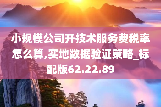 小规模公司开技术服务费税率怎么算,实地数据验证策略_标配版62.22.89