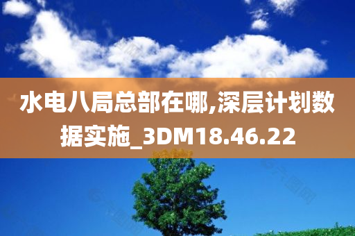 水电八局总部在哪,深层计划数据实施_3DM18.46.22