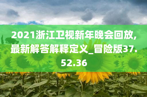 2021浙江卫视新年晚会回放,最新解答解释定义_冒险版37.52.36