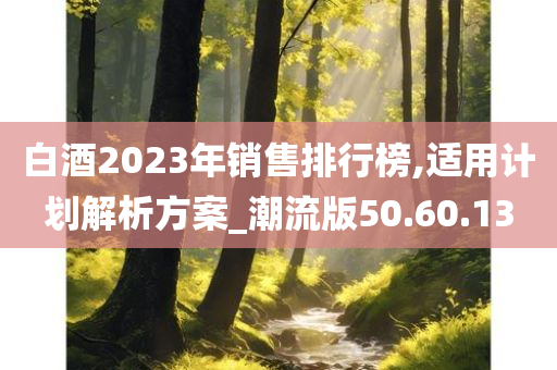 白酒2023年销售排行榜,适用计划解析方案_潮流版50.60.13