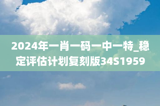 2024年一肖一码一中一特_稳定评估计划复刻版34S1959