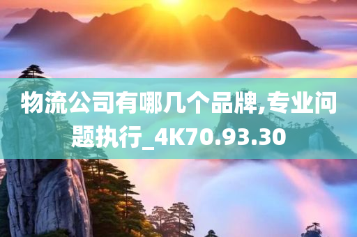 物流公司有哪几个品牌,专业问题执行_4K70.93.30