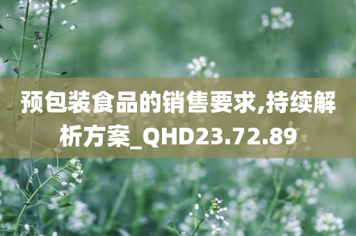 预包装食品的销售要求,持续解析方案_QHD23.72.89