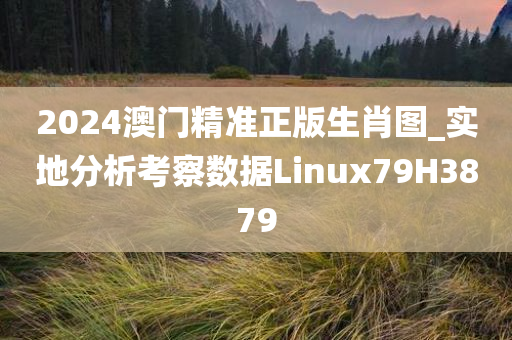 2024澳门精准正版生肖图_实地分析考察数据Linux79H3879