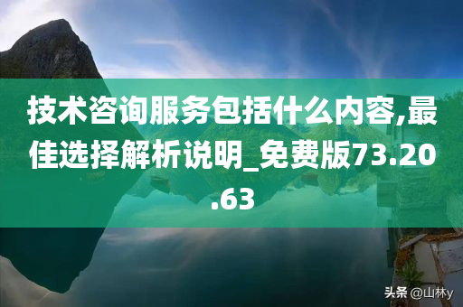 技术咨询服务包括什么内容,最佳选择解析说明_免费版73.20.63