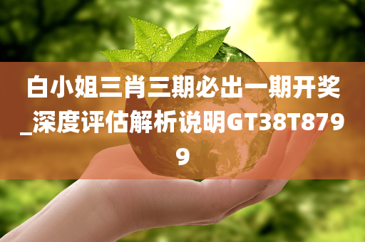 白小姐三肖三期必出一期开奖_深度评估解析说明GT38T8799