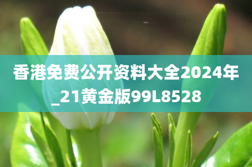 香港免费公开资料大全2024年_21黄金版99L8528