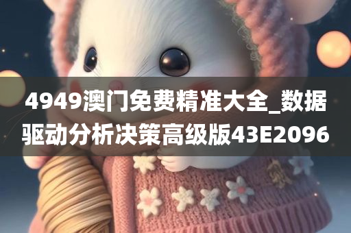 4949澳门免费精准大全_数据驱动分析决策高级版43E2096