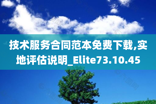 技术服务合同范本免费下载,实地评估说明_Elite73.10.45