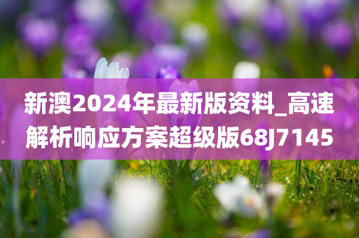 新澳2024年最新版资料_高速解析响应方案超级版68J7145