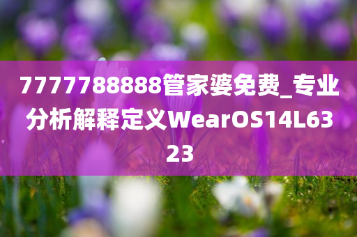 7777788888管家婆免费_专业分析解释定义WearOS14L6323