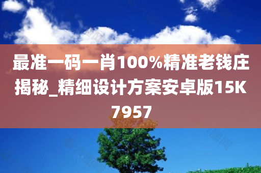 最准一码一肖100%精准老钱庄揭秘_精细设计方案安卓版15K7957