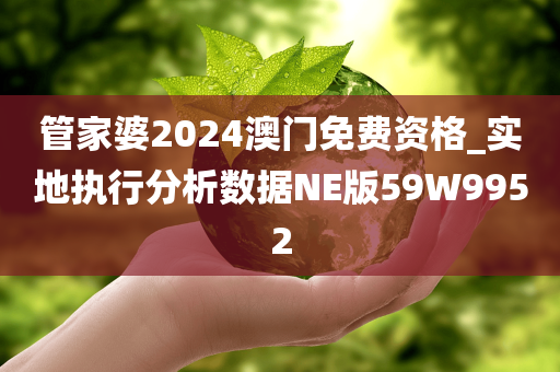 管家婆2024澳门免费资格_实地执行分析数据NE版59W9952