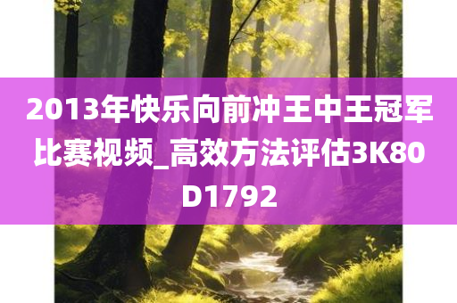 2013年快乐向前冲王中王冠军比赛视频_高效方法评估3K80D1792