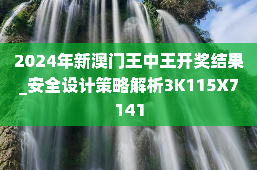 2024年新澳门王中王开奖结果_安全设计策略解析3K115X7141