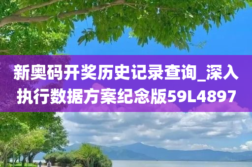 新奥码开奖历史记录查询_深入执行数据方案纪念版59L4897