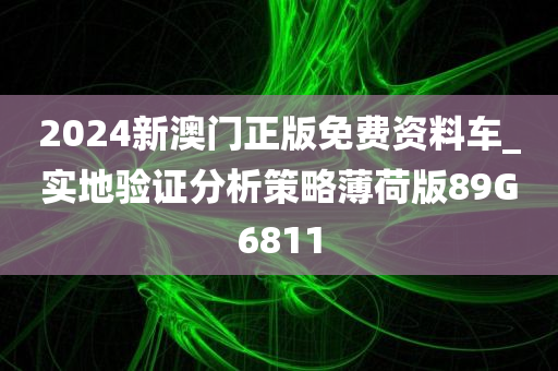 2024新澳门正版免费资料车_实地验证分析策略薄荷版89G6811