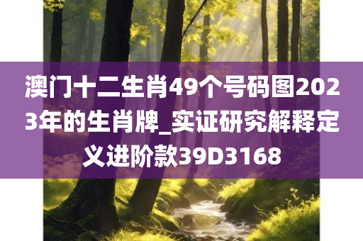 澳门十二生肖49个号码图2023年的生肖牌_实证研究解释定义进阶款39D3168