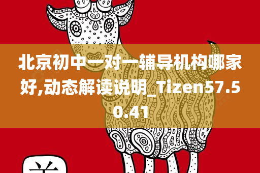 北京初中一对一辅导机构哪家好,动态解读说明_Tizen57.50.41