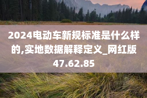 2024电动车新规标准是什么样的,实地数据解释定义_网红版47.62.85