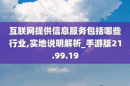 互联网提供信息服务包括哪些行业,实地说明解析_手游版21.99.19