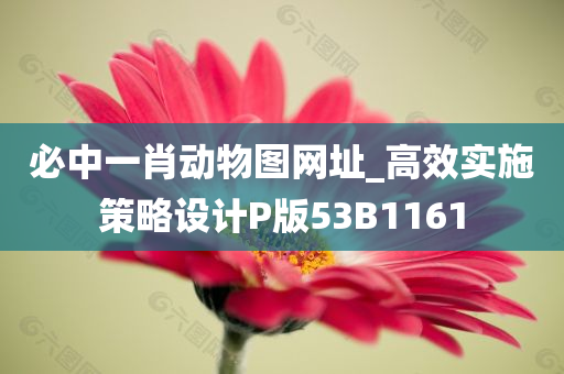 必中一肖动物图网址_高效实施策略设计P版53B1161