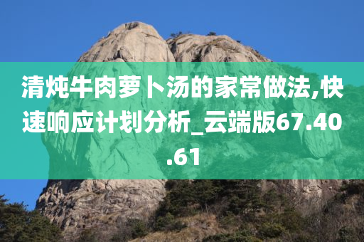 清炖牛肉萝卜汤的家常做法,快速响应计划分析_云端版67.40.61