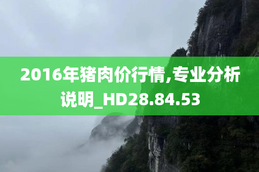 2016年猪肉价行情,专业分析说明_HD28.84.53