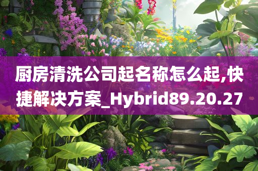 厨房清洗公司起名称怎么起,快捷解决方案_Hybrid89.20.27