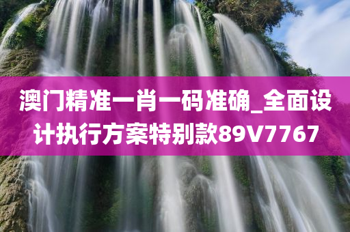 澳门精准一肖一码准确_全面设计执行方案特别款89V7767