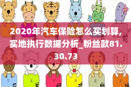 2020年汽车保险怎么买划算,实地执行数据分析_粉丝款81.30.73