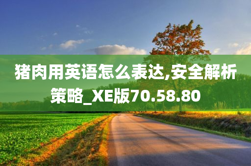 猪肉用英语怎么表达,安全解析策略_XE版70.58.80