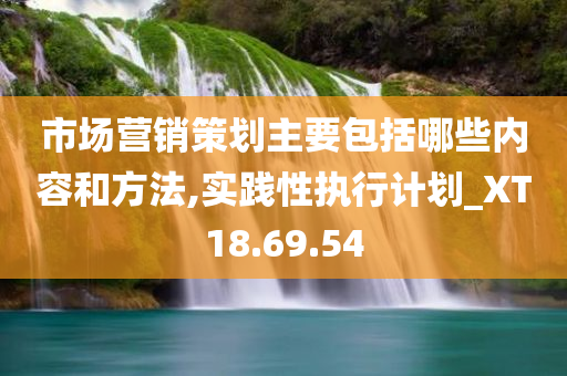 市场营销策划主要包括哪些内容和方法,实践性执行计划_XT18.69.54