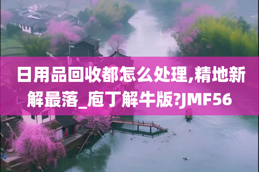 日用品回收都怎么处理,精地新解最落_庖丁解牛版?JMF56