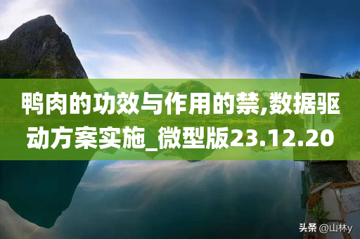 鸭肉的功效与作用的禁,数据驱动方案实施_微型版23.12.20