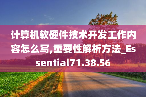 计算机软硬件技术开发工作内容怎么写,重要性解析方法_Essential71.38.56