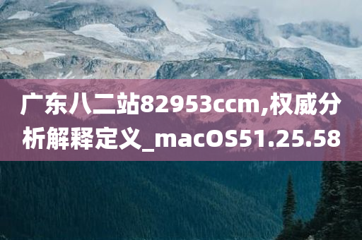 广东八二站82953ccm,权威分析解释定义_macOS51.25.58