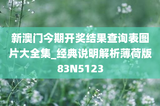 新澳门今期开奖结果查询表图片大全集_经典说明解析薄荷版83N5123