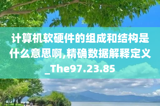 计算机软硬件的组成和结构是什么意思啊,精确数据解释定义_The97.23.85